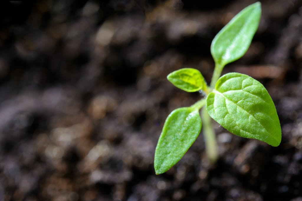 5 Ways to Overcome Challenges to Goal Achievement