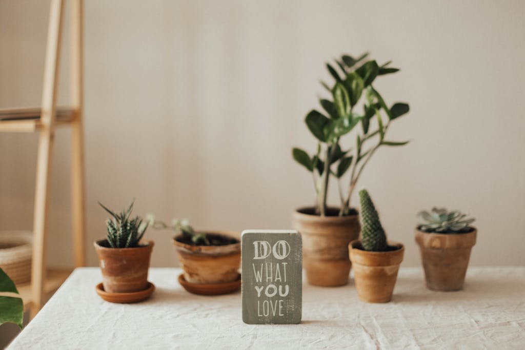 Why 73% of people abandon their goals in January (and how to avoid it)